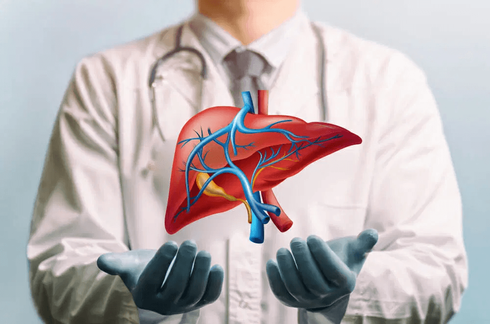 Doctor with liver illustration
